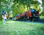 Kinder winken der Parkeisenbahn Dresden im großen Garten und haben Spaß