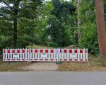 Gesperrter Parkweg im Großen Garten Dresden mit rot-weißer Absperrung und Warnschild vor herabfallenden Ästen, umgeben von dichtem Baumbestand