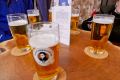 Biertasting und Verkostung Dresden