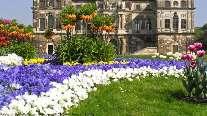 Dresdner Fruhling Im Palais Im Grossen Garten