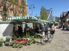 Wochenmarkt