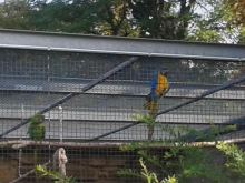 Dresden Zoo Stadtführung