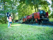 Kinder winken der Parkeisenbahn Dresden im großen Garten und haben Spaß