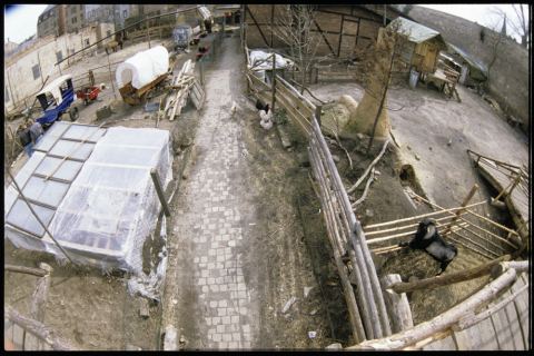 Abenteuerspielplatz Panama Stadtführung Dresden Neustadt