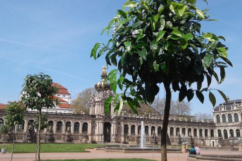 Stadtführung Dresden Zwinger Altstadt