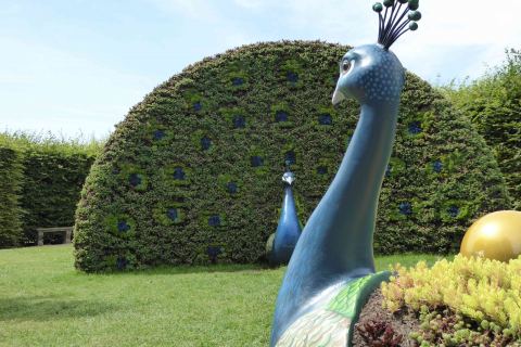 Stadtführung Dresden Parkführung Schloss Pillnitz