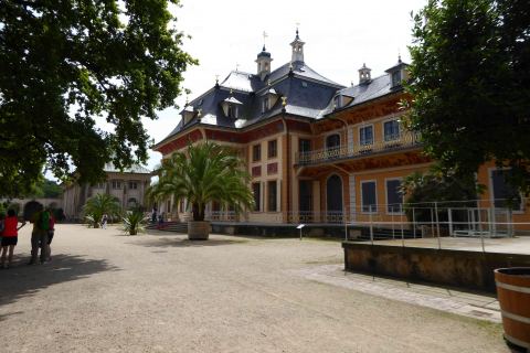 Schlosspark Pillnitz im Blütenmeer.