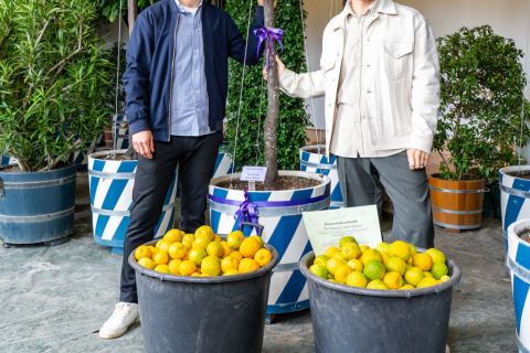 Purple Disco Machine spielt zu Pfingsten vier Konzerte im Dresdner Zwinger. Besucher müssen geänderte Öffnungszeiten beachten.