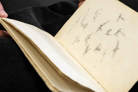 Das Karlsruher Skizzenbuch von Caspar David Friedrich zeigt detaillierte Landschaftsstudien und Skizzen, die seine Verbindung zur Natur und seine künstlerische Arbeitsweise widerspiegeln.