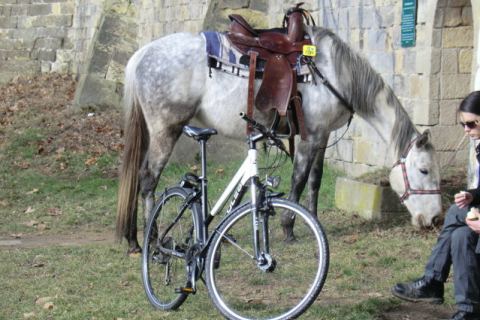 Fahrrad Ferien Dresden