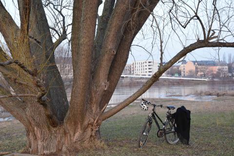 Stadtrundfahrt Dresden Fahrrad