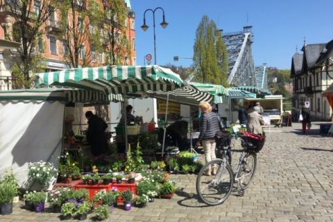 Blaues Wunder Loschwitz Stadtführung