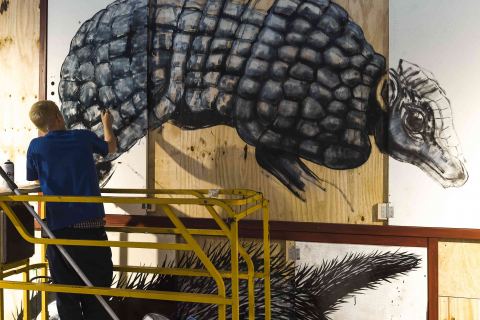 ROA Dresden Streaat Art