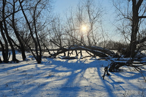 Dresden im Winter entdecken: romantische Stadtführung,