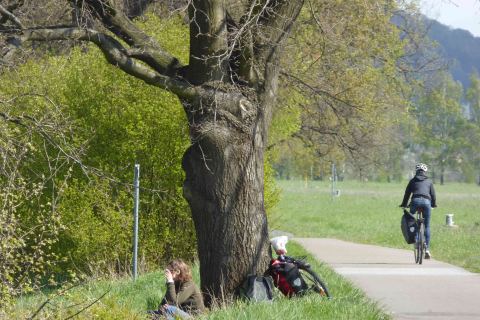 Fahrradtour Pillnitz