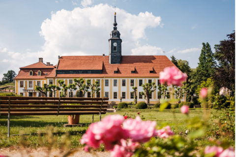 Seusslitzer Weinsichttour Tourismusverband Elbland Dresden e.V.