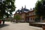 Schlosspark Pillnitz im Blütenmeer.