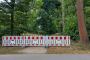Gesperrter Parkweg im Großen Garten Dresden mit rot-weißer Absperrung und Warnschild vor herabfallenden Ästen, umgeben von dichtem Baumbestand